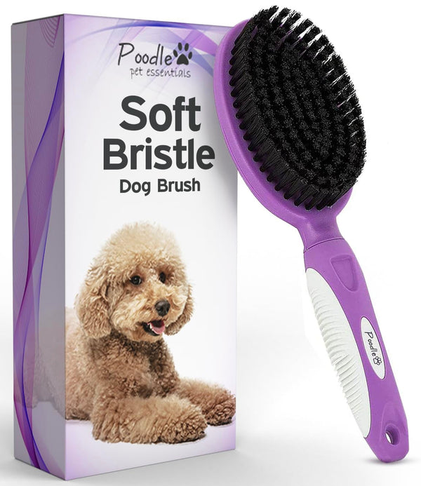 Soft Bristle Dog Brush for Short Haired Cats or Dogs - Firm Bristles to Remove Dust, Dirt, and Loose Fur - Hook and Rubber Handle1