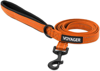 Best Pet Supplies Voyager Nylon Dog Leash - Fuchsia, Small | 5Ft in Length, 5/8" in Width, Reflective, Soft Neoprene Handle, Heavy Duty Metal Clips for Running, Walking & Training29