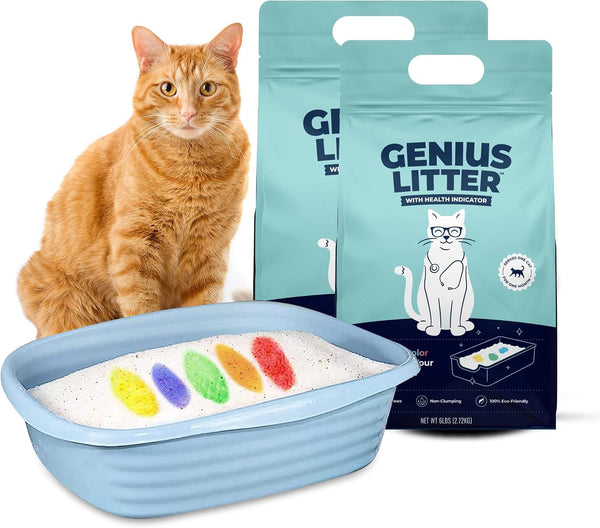Genius Litter Health Monitoring Cat Litter, Featured on Shark Tank, Lightweight Crystal Silica Gel, Non Clumping, Dust Free, Low Tracking, Odor Control for Indoor Cats and Kittens, 6 Lb Bag11
