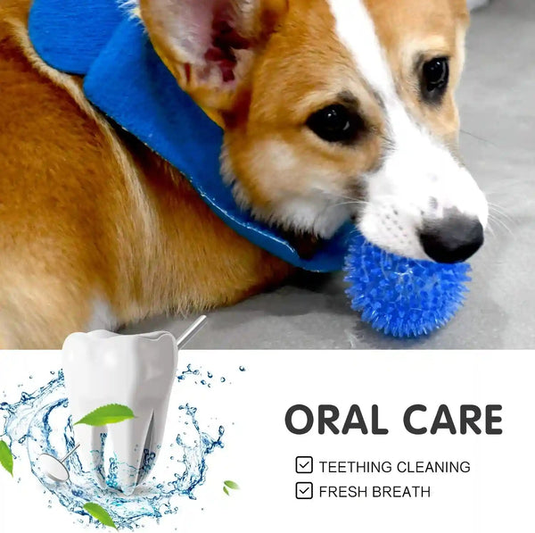 SHARLOVY Squeaky Balls for Pet Small Puppy, 6 Pack TPR Fetch Spike Balls for Dogs, Rubber 6 Pack Bright Colors Chew Teething Dog Toys, for Clean Teeth and Training, for Puppy Chew and Teething6