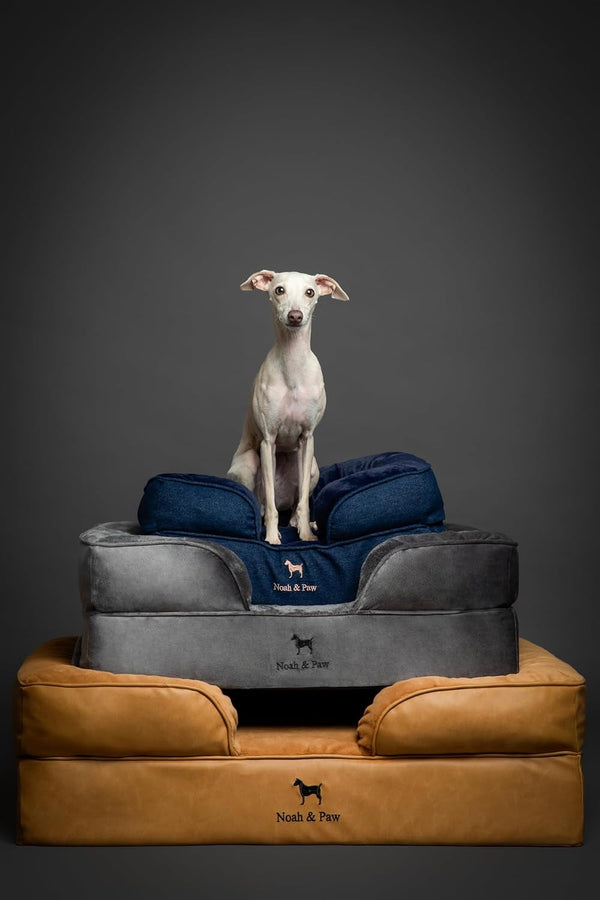 NOAH & PAW Large Dog Bed, 35X25X11 Inch, Orthopedic Dog Beds, Eggshell Memory Foam Infused with Cooling Gel, Inner Cover, Water Resistant, Machine Washable (Faux Leather)8