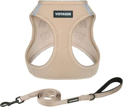 Best Pet Supplies Voyager Step-In Air All Weather Mesh Harness and Reflective Dog 5Ft Leash Combo with Neoprene Handle, for Small, Medium and Large Breed Puppies - Baby Blue, Small35