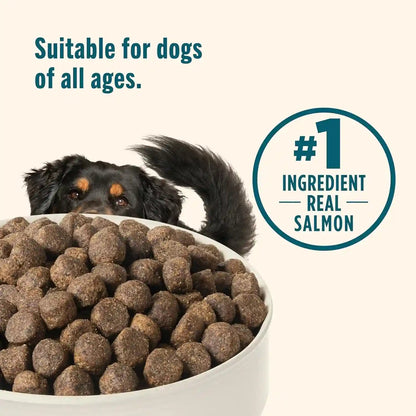 Nutrish Grain Free Dry Dog Food, Salmon & Sweet Potato Recipe, 23 Lb. Bag (Rachael Ray)6