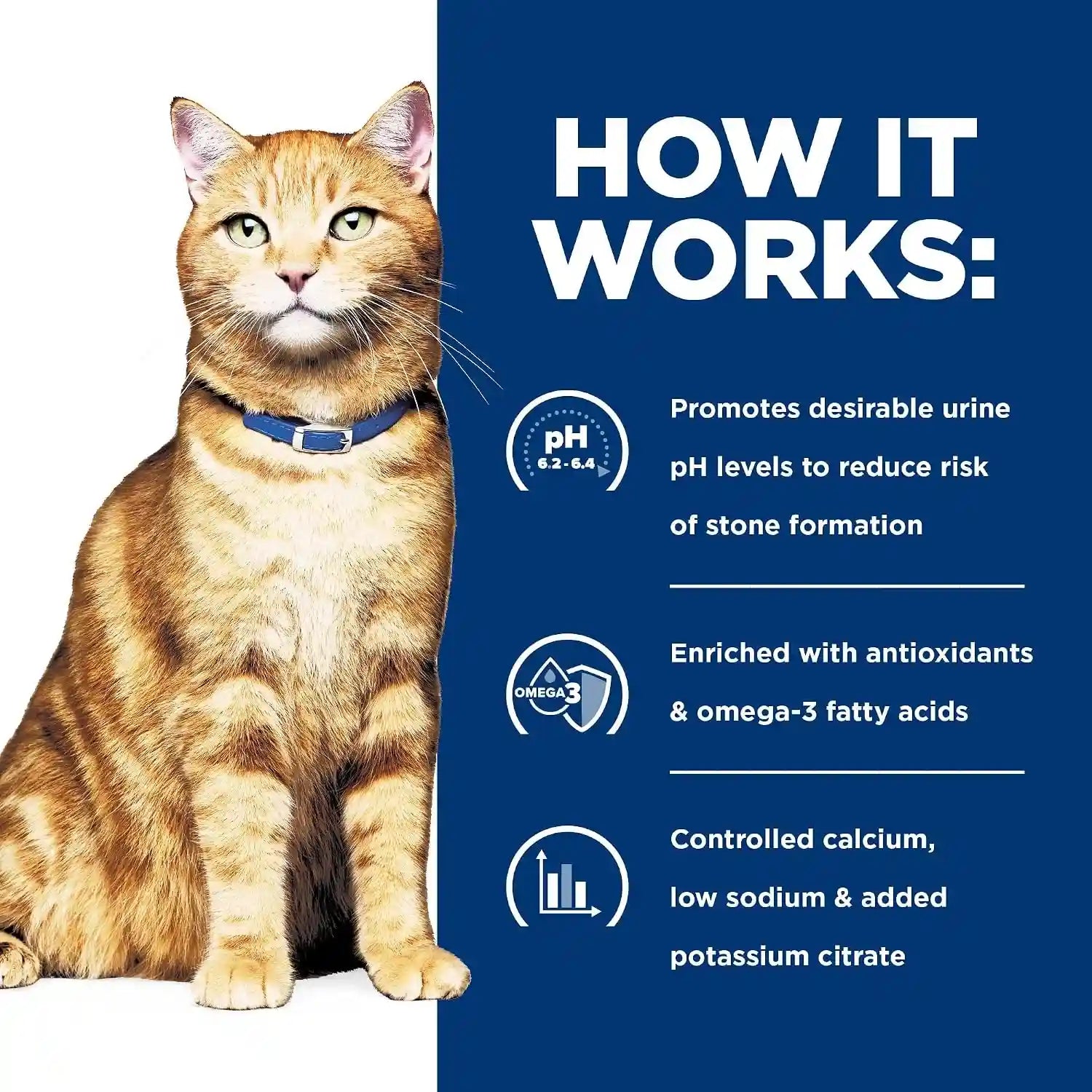 hills-prescription-diet-c-d-multicare-urinary-care-dry-cat-food-1-veterinarian-recommended-chicken-recipe-4-lb-bag