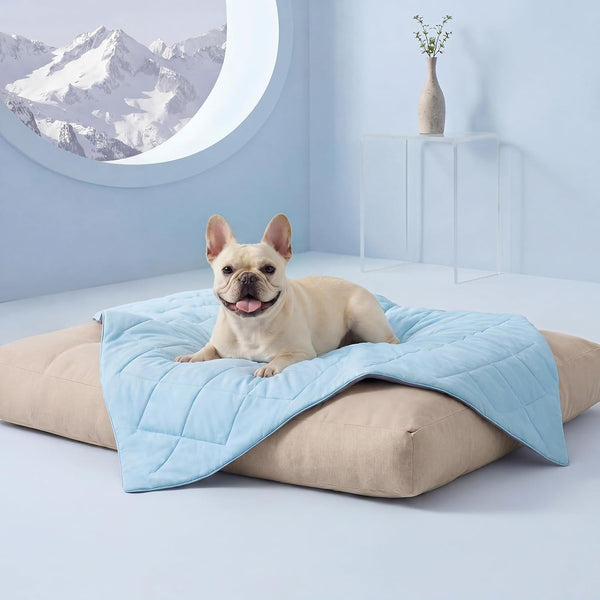 Luciphia Q-MAX>0.4 Cooling Dog Blanket Breathable Cold Pet Puppy Blue,29X40 | Silky Soft Self-Cooling; Summer Calming Mat; Easy Clean Washable; Lightweight Couch Protector for Dogs, Cats, and Puppies.1