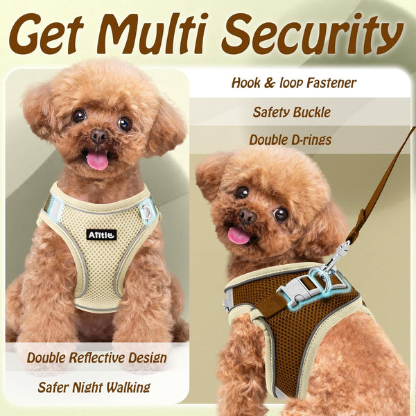 AIITLE No Pull Dog Harness and Leash Set, Step in Adjustable Dog Harness with Padded Vest for All Weather, Dog Leash with Soft Padded Handle, Easy to Put on Small and Medium Dogs Beige S7