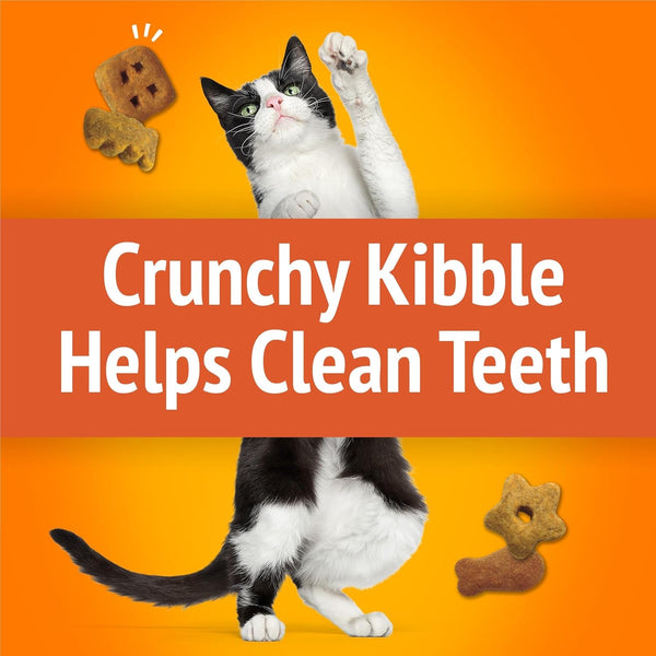 Purina Friskies Cat Treats, Party Mix Original Crunch - 30 Ounce (Pack of 1)4