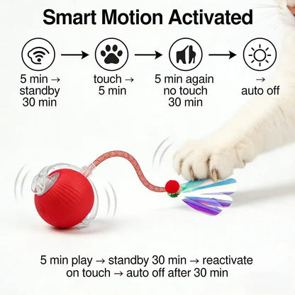 Interactive Cat Toy Ball, Smart Moving Pet Toy for Cats & Dogs | Cat Toys for Indoor Cats | Speedy Tail 2.0 Cat Toy|Cat Teaser Toy|Interactive Motion Activated Cat Toys| Stimulating Cat Toys3