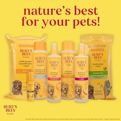Burts Bees for Pets Oatmeal Dog Conditioner, Fragrance-Free, 10 Fl Oz | Colloidal Oat Flour and Honey Moisturize and Soften Dry Coats; Ph-Balanced, 95% Natural Origin10