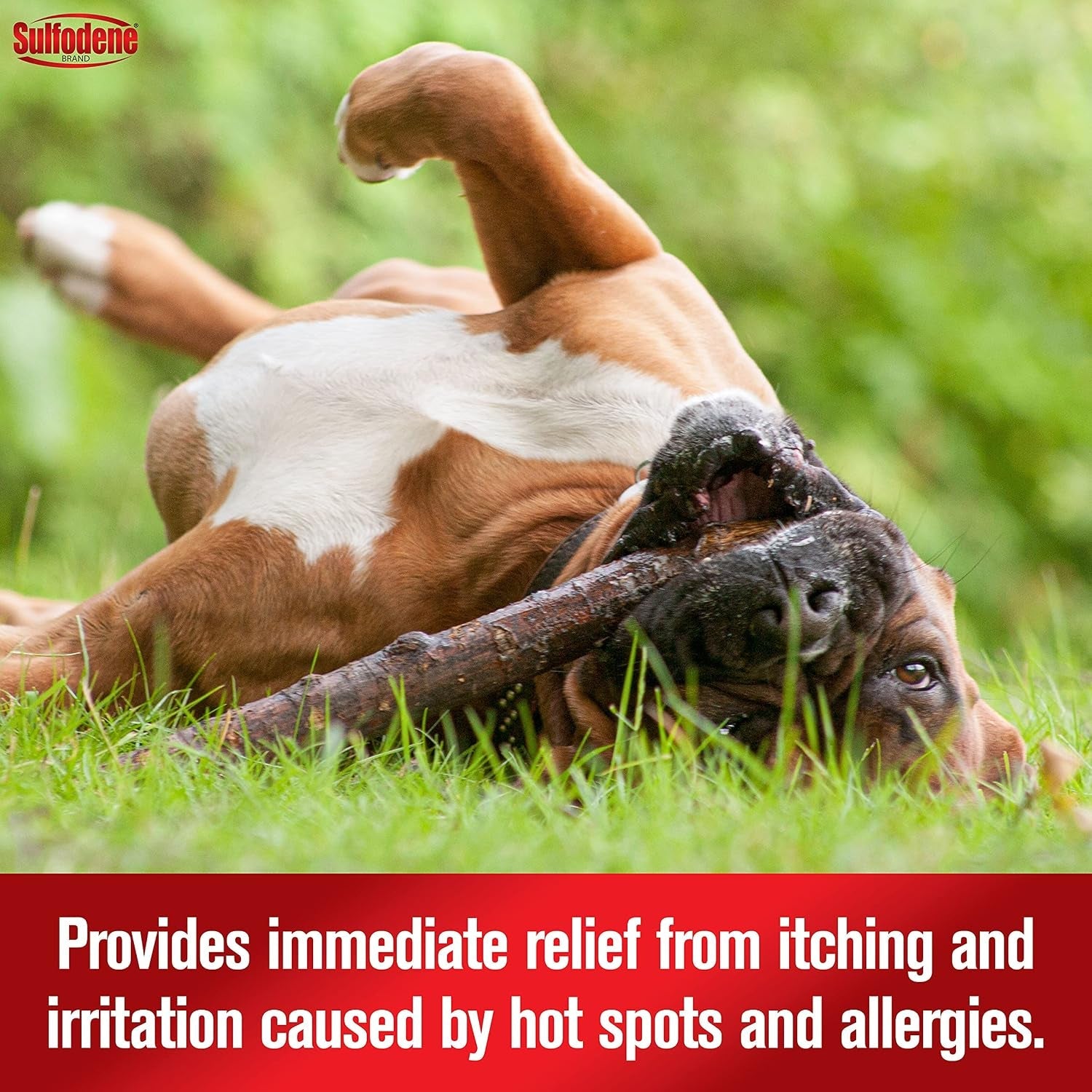 sulfodene-hot-spot-itch-relief-medicated-spray-for-dog-8oz-vet-recommended-anti-itch-spray-for-dogs-with-aloe-vera-dog-hot-spot-spray-for-allergies-scrapes-and-abrasions