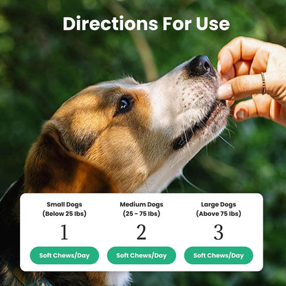 Dog Probiotics and Multivitamin Chews for Digestive Health, Immune Support, Gut Health, Allergy Support, Dog Vitamins, with Vitamin C, Omega 3, Colostrum, 60 Soft Chews per Jar5