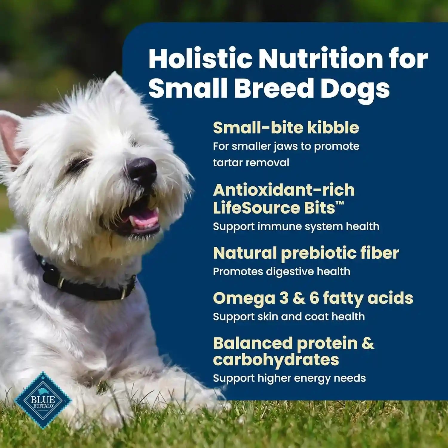 blue-buffalo-life-protection-formula-chicken-small-breed-dry-dog-food-5-lb-real-chicken-1-ingredient-antioxidant-rich-lifesource-bits-supports-higher-energy-needs-formulated-for-small-breed-dogs