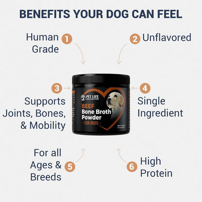Beef Bone Broth for Dogs - High Protein Human Grade Food Topper for Joint, Bone, Immune, Digestive, Skin & Coat Support - Single Ingredient Dog Bone Broth, Unflavored Powder for All Ages & Breeds2