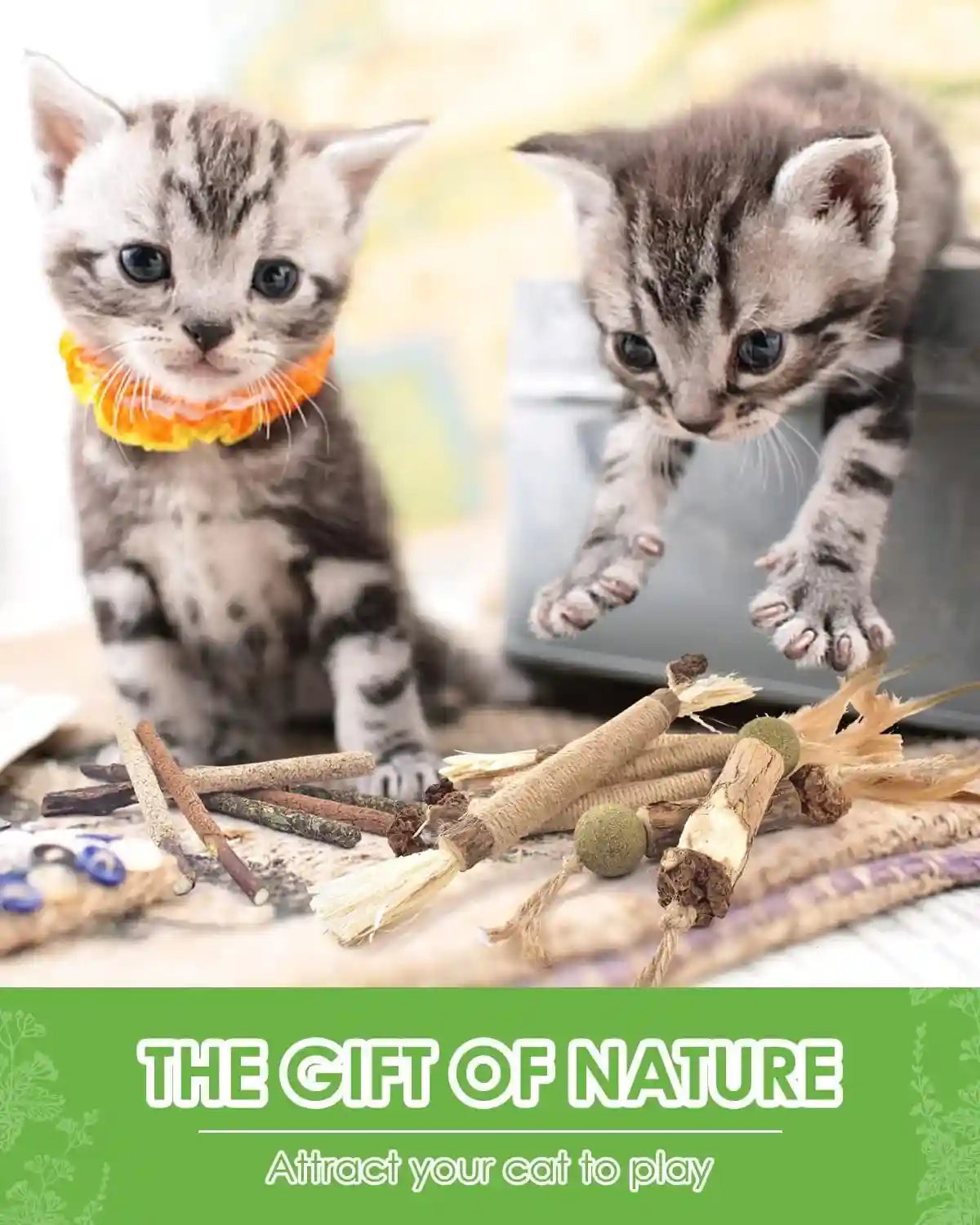 tindtop-catnip-chew-toys-for-cats-12-pack-natural-silvervine-sticks-for-kittens-teeth-cleaning-matatabi-dental-care-increase-appetite-calm-cat-anxiety-and-stress-cat-dental-toy