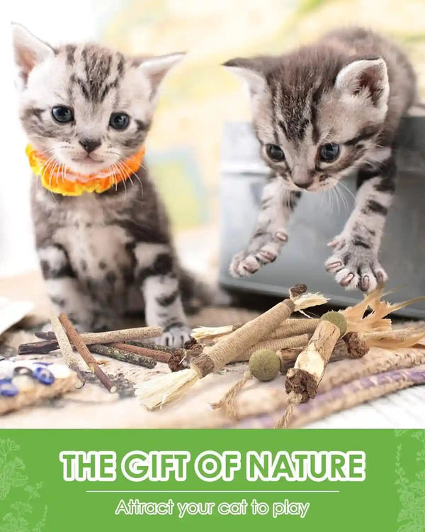 TINDTOP Catnip Chew Toys for Cats, 12 Pack Natural Silvervine Sticks | for Kittens Teeth Cleaning, Matatabi Dental Care, Increase Appetite, Calm Cat Anxiety and Stress, Cat Dental Toy7