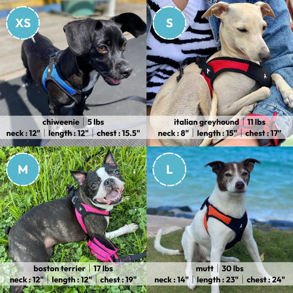 gooby-escape-free-easy-fit-harness-small-dog-step-in-harness-for-dogs-that-like-to-escape-their-harness-turquoise-small