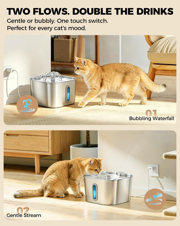 Cat Water Fountain Stainless Steel 74Oz/2.2L with 3 Filters & 3 Sponges | Indoor Pet Water Dispenser-Automatic Silent Small Dog Fountains for Drinking-Auto Metal Watering Bowls-Gifts for Kitty Animal6