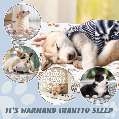Yedsintu 6 Pcs Absorbent Guinea Pig Blankets Washable Small Animal Fleece Bedding Cage Liners Reusable Pet Pee Pad Sleep Mat Pad Cover for Hamster Ferret Rabbit Chinchilla Hedgehog (16"X24")4