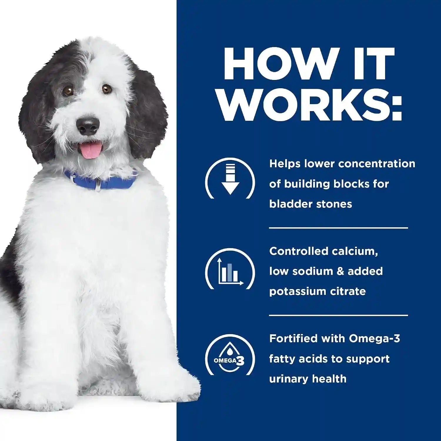 hills-prescription-diet-c-d-multicare-urinary-care-dry-dog-food-1-veterinarian-recommended-chicken-recipe-8-5-lb-bag