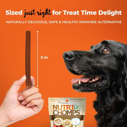 Nutri Chomps Dog Chews, 5-Inch Twists, Easy to Digest, Rawhide-Free Dog Treats, 15 Count, Real Chicken, Peanut Butter and Milk Flavors | a Rawhide-Free Chew That'S Gentle and Easy to Digest, Made with the Real, Wholesome Ingredients Dogs Love4