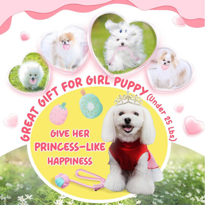 XIUGOAL Pink Puppy Toys for Boredom - 23 Pack Puppy Chew Toys for Teething, Interactive Dog Toys for Puppies, Cute Small Dog Toys with Treat Ball, Squeaky Dog Chew Toys and Ropes2