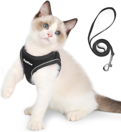 Small Dog Harness and Leash Set Breathable Step-In Puppy Cat Harness,Xs | Reflective for Safe Easy Walking,Soft Light Puppy Vest,Escape Proof,No Pull Harness for Dogs,All Weather Air Mesh Harness28