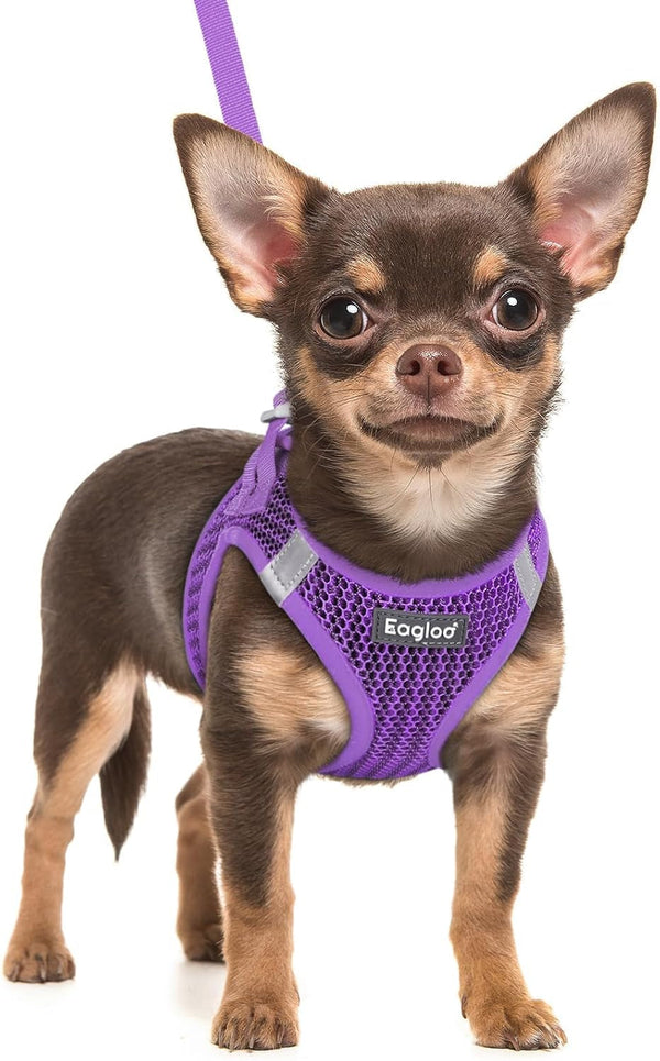 Eagloo Small Dog Harness and Leash Set, Step in Small Sized Puppy Pet Vest | Light, Soft, Breathable Air Mesh, Easy on and off with Hook & Loop, Reflective for Safe Walking, Pink, S52
