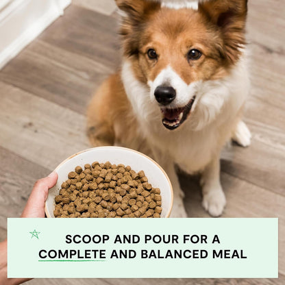 Open Farm Grain Free Dry Dog Food, Grass-Fed Beef Kibble, 22Lb Bag | All Life Stages, All Breed Sizes, Protein-Rich & Nutrient Dense, 100% Traceable Ingredients, Non-Gmo Fruits & Veggies.4