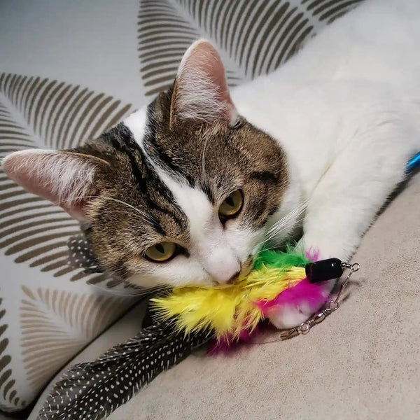 Cat Feather Toys Refills, 10 Pieces Worms Feathers Refills, Cat Wand Replacement Feathers Toy for Indoor Cats4