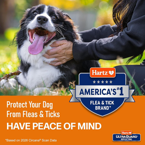 Hartz Ultraguard Rid Flea & Tick Oatmeal Dog Shampoo, 18 Oz Bottle5