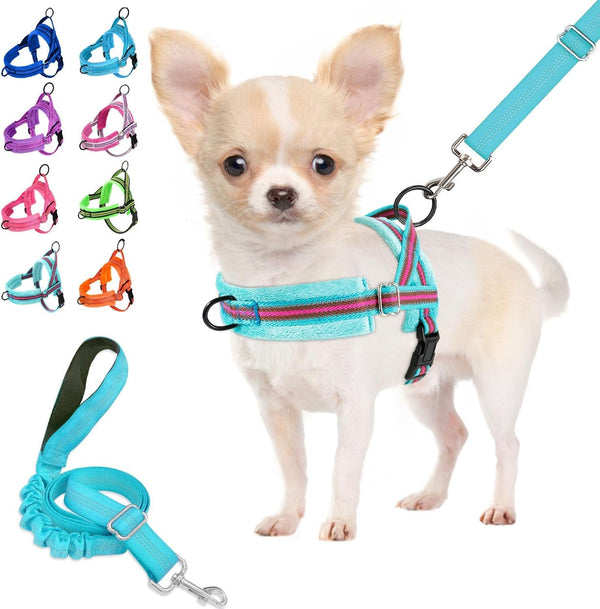 Lukovee No Pull Dog Harness and Leash Set, Soft Padded Small Dog Harness, Neck & Chest Adjustable Reflective Vest Puppy Harness with 4Ft Lightweight Anti-Twist Dog Leash for Small Dogs (XS, Blue)10