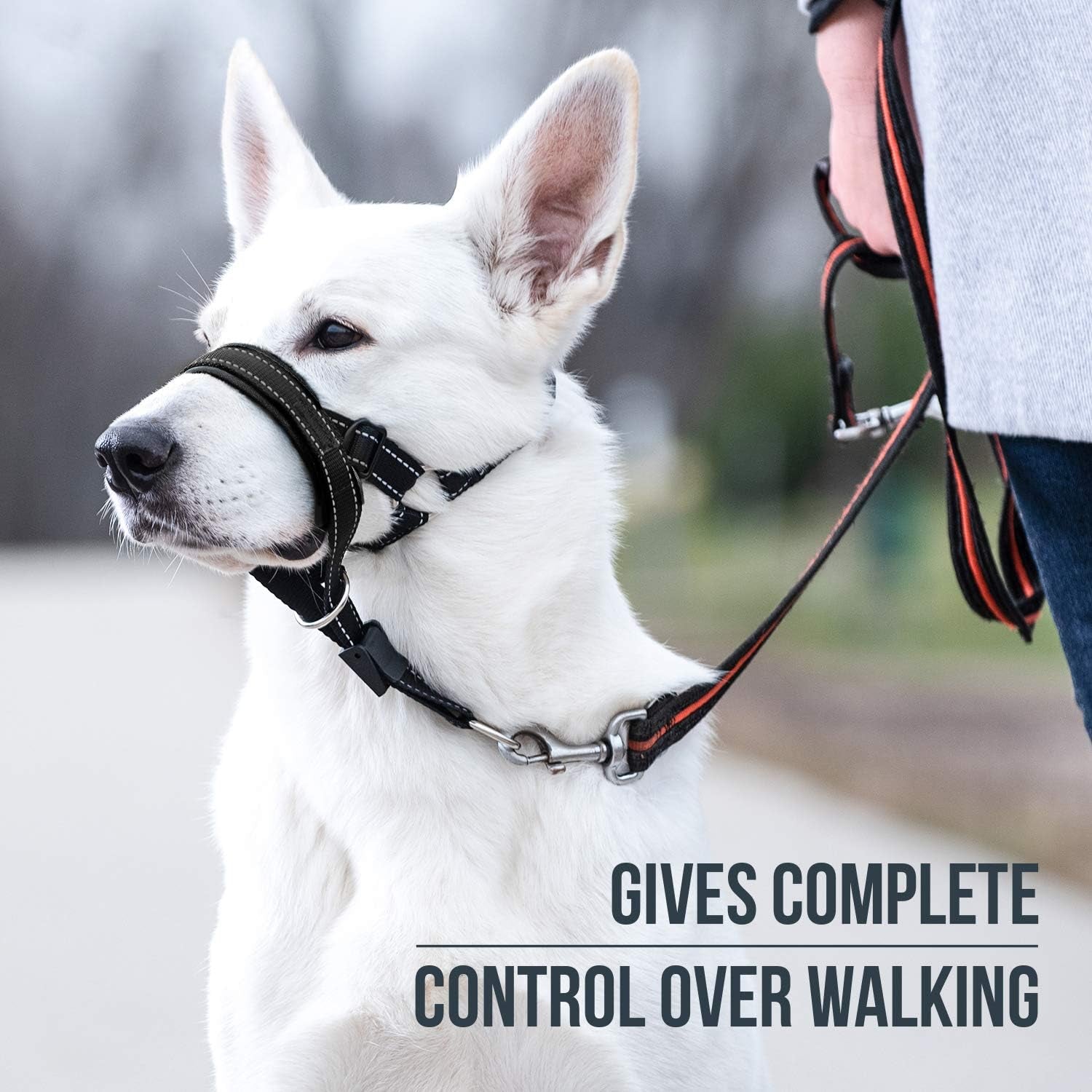 goodboy-dog-head-halter-with-safety-strap-stops-heavy-pulling-on-the-leash-padded-headcollar-for-small-medium-and-large-dog-sizes-head-collar-training-guide-included-size-2-black