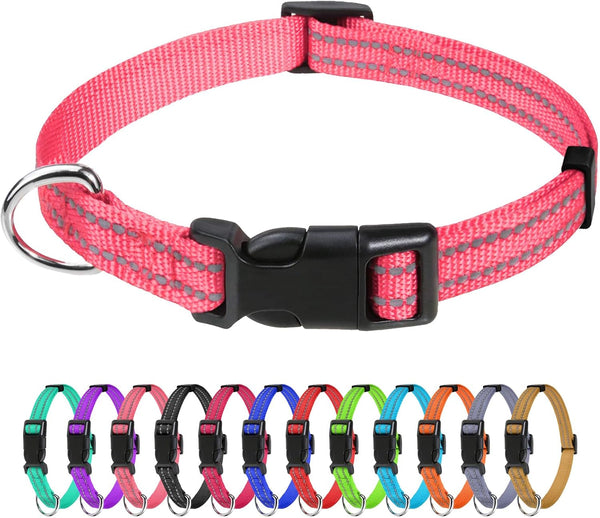 Tagme Small Dog Collar, Reflective Puppy Collar, Sky Blue, 3/8" Width | Lightweight, Nylon Collar for Puppies, Chihuahua, Yorkie & Teacup Dogs 5-15 Lbs, Reflective for Evening Walks, 12 Colors30