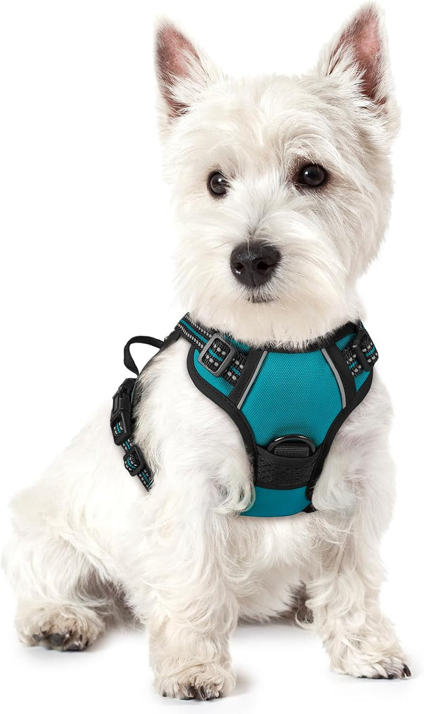 Rabbitgoo Dog Harness, No Pull for Large Dogs with 2 Leash Clips, Pet Vest | No Choke with Handle, Adjustable Soft Padded, Reflective, Easy Control for Walking, Black, Large59