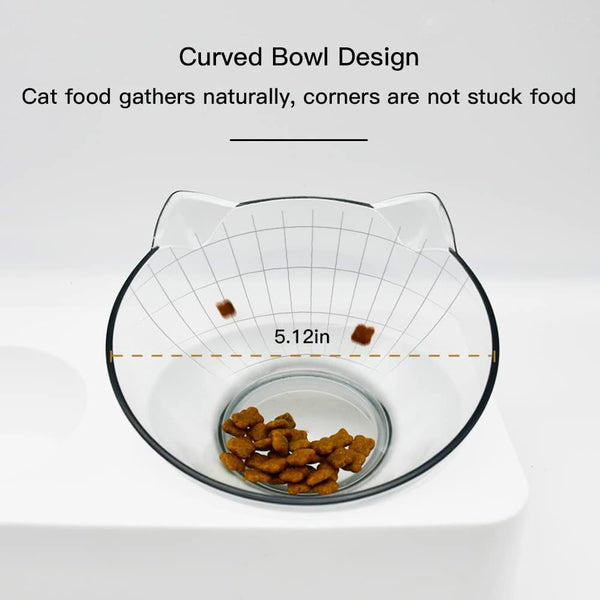 Marchul Double Elevated Dog Cat Bowl, Pets Water and Food Bowl Set, 15° Raised Tilted Dishes Indoor for Kitten, Puppies, Small or Medium Size Dogs Cats3