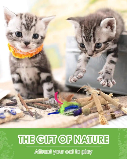 TINDTOP Silvervine Chew Sticks for Cats, 12 Pack Natural Catnip Chew Toys | for Kittens Teeth Cleaning, Matatabi Dental Care, Increase Appetite, Calm Cat Anxiety and Stress, Cat Dental Toy7