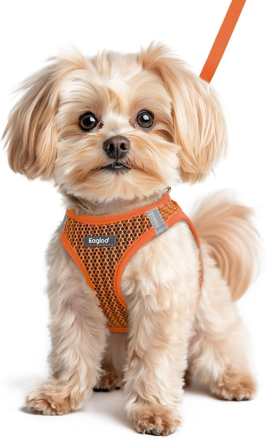 eagloo-small-dog-harness-and-leash-set-step-in-small-sized-puppy-pet-vest-light-soft-breathable-air-mesh-easy-on-and-off-with-hook-loop-reflective-for-safe-walking-pink-s