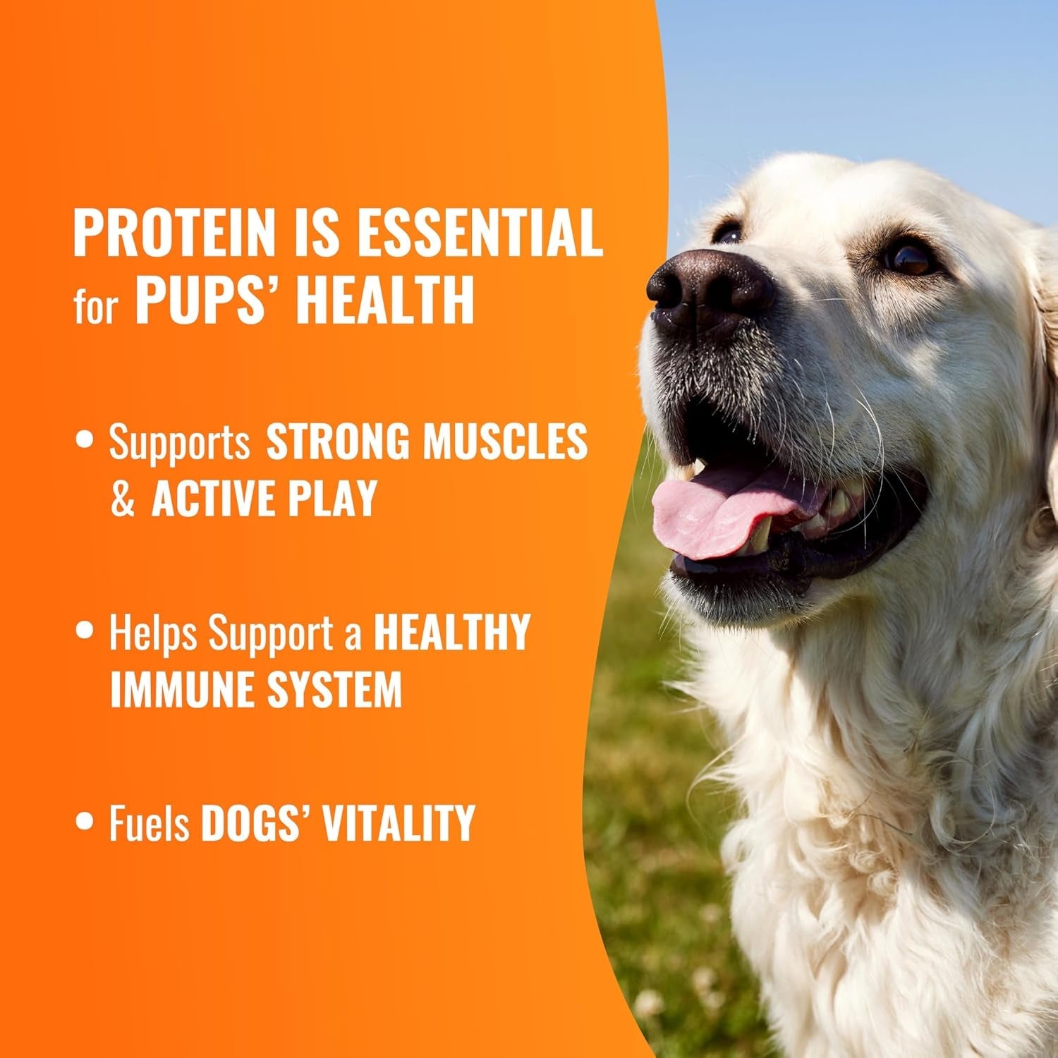 good-n-fun-triple-flavor-wraps-with-beef-tendon-chews-high-protein-dog-treat-for-all-adult-dogs-made-with-real-beef-hide-chicken-beef-tendon-8-count