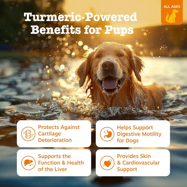 Zesty Paws Turmeric Curcumin for Dogs - for Hip & Joint Mobility Supports Canine Digestive Cardiovascular & Liver Health - Coconut Oil for Skin Health with 95% Curcuminoids + Bioperine Bacon, 90 Count2