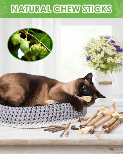 TINDTOP Catnip Chew Toys for Cats, 12 Pack Natural Silvervine Sticks | for Kittens Teeth Cleaning, Matatabi Dental Care, Increase Appetite, Calm Cat Anxiety and Stress, Cat Dental Toy2