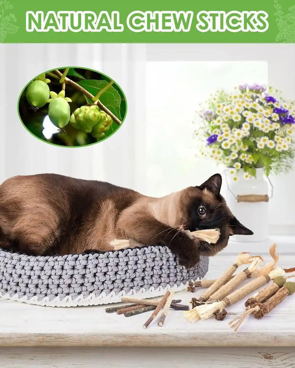 TINDTOP Catnip Chew Toys for Cats, 12 Pack Natural Silvervine Sticks | for Kittens Teeth Cleaning, Matatabi Dental Care, Increase Appetite, Calm Cat Anxiety and Stress, Cat Dental Toy2