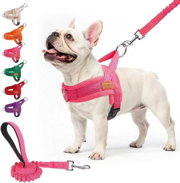BEAUTYZOO Dog Harness No Pull, Quick Fit Dog Harness and Leash Set, Escape Proof Vest Harness with Soft Handle, Reflective Breathable Mesh Padding Harness for Medium Size Dog Training Walking, Beige M32