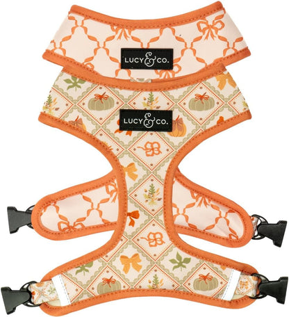 Lucy & Co. Reversible Dog Harness - Water-Repellent Neoprene, Dual-Print Design, Easy Swap Style, Adjustable Comfort Fit - Take a Bow Reversible Harness - Small24