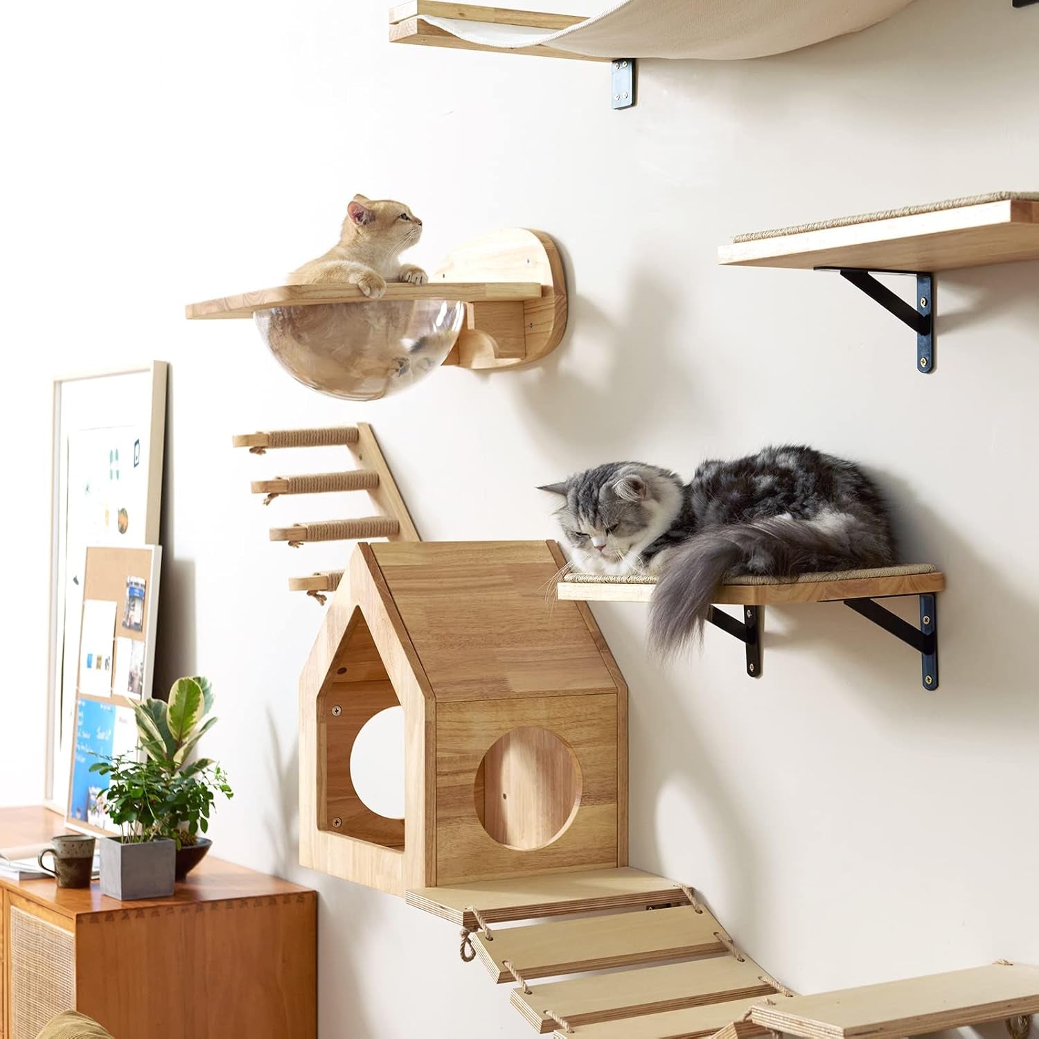fukumaru-cat-wall-furniture-set-transparent-capsule-with-2-pcs-pedals-kitten-walls-shelves-premium-kitty-bed-for-sleeping-playing-climbing-lounging-holds-up-to-35-lbs