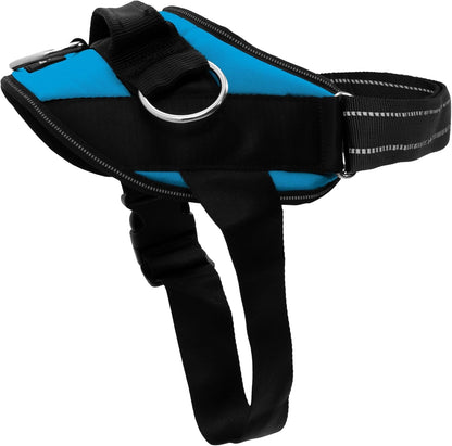 Shawnco Essential Dog Harness, No-Pull Pet Vest with 3 Leash Clips, No Choke, Reflective, Adjustable and Padded, for Easy Walking and Training for Small, Medium and Large Dogs (Oceanic Blue, S)1