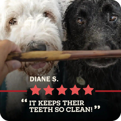 Redbarn Premium Bully Sticks for Dogs - 7 Inch, 6 Count - Long Lasting, Rawhide-Free, Slow Roasted, Low Odor & Highly Digestible, Single Ingredient Chews & All-Natural Dental Treats for Chewers11