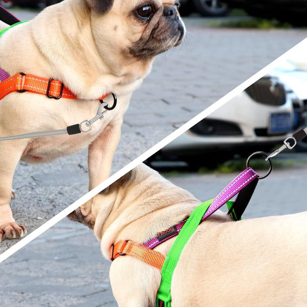 Didog No Pull Dog Harness for Large Dogs, Soft Padded Handle, Green, L | Quick Fit, Easy on and Off, Front Adjustable, Lightweight Vest, Colorful Reflective Strips, Easy for Walking and Training3