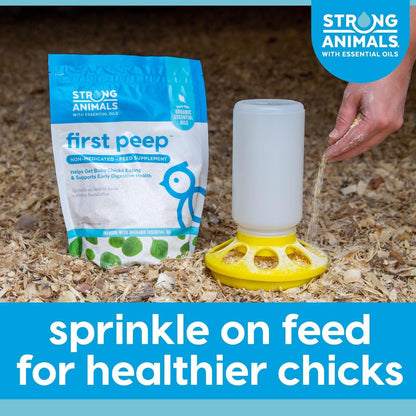 First Peep Chick Feed Supplement with Oregano Oil 2 Lb | Non-Medicated, Organic Oregano Oil, Kelp & Prebiotics, Helps Chicks Start Eating Sooner, Supports Early Digestive Health7