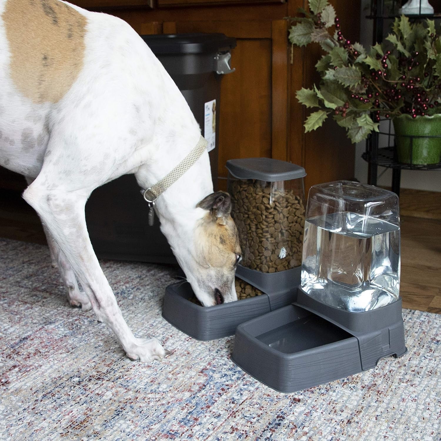 sportpet-gravity-feeder-and-waterer-large