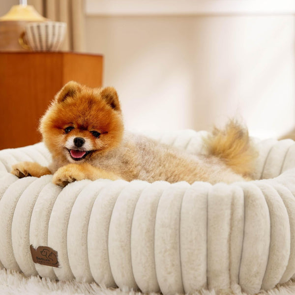 Bedsure Comfyfleece™ Cute Dog Bed for Small Medium Dogs Washable,25In Cream | Furry Puppy Beds,Square Rectangle Orthopedic Corduroy Aesthetic Pet Beds,Removable Zipper Cover,Non-Slip Bottom,Up to 15 Lbs8